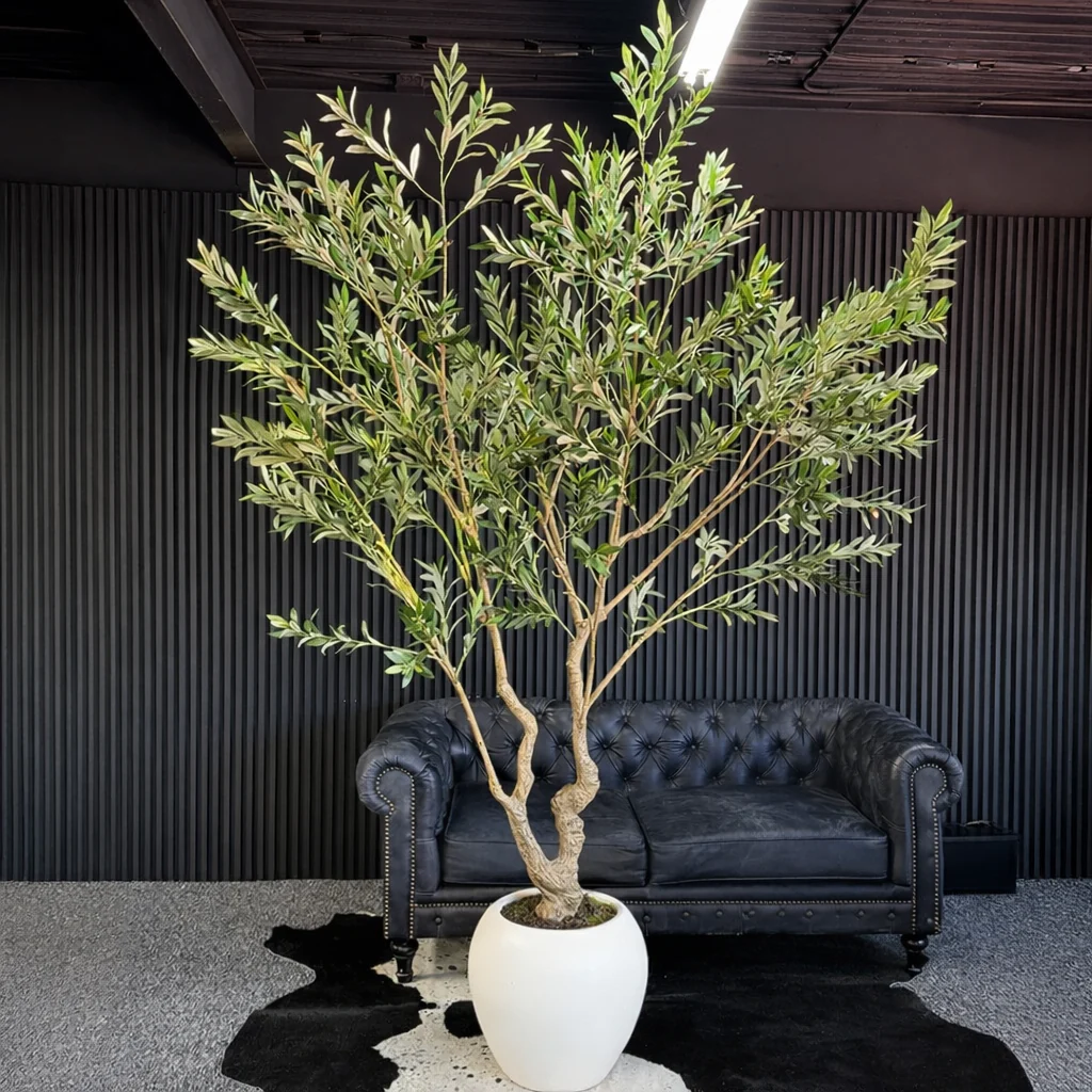 Imagen del producto 4