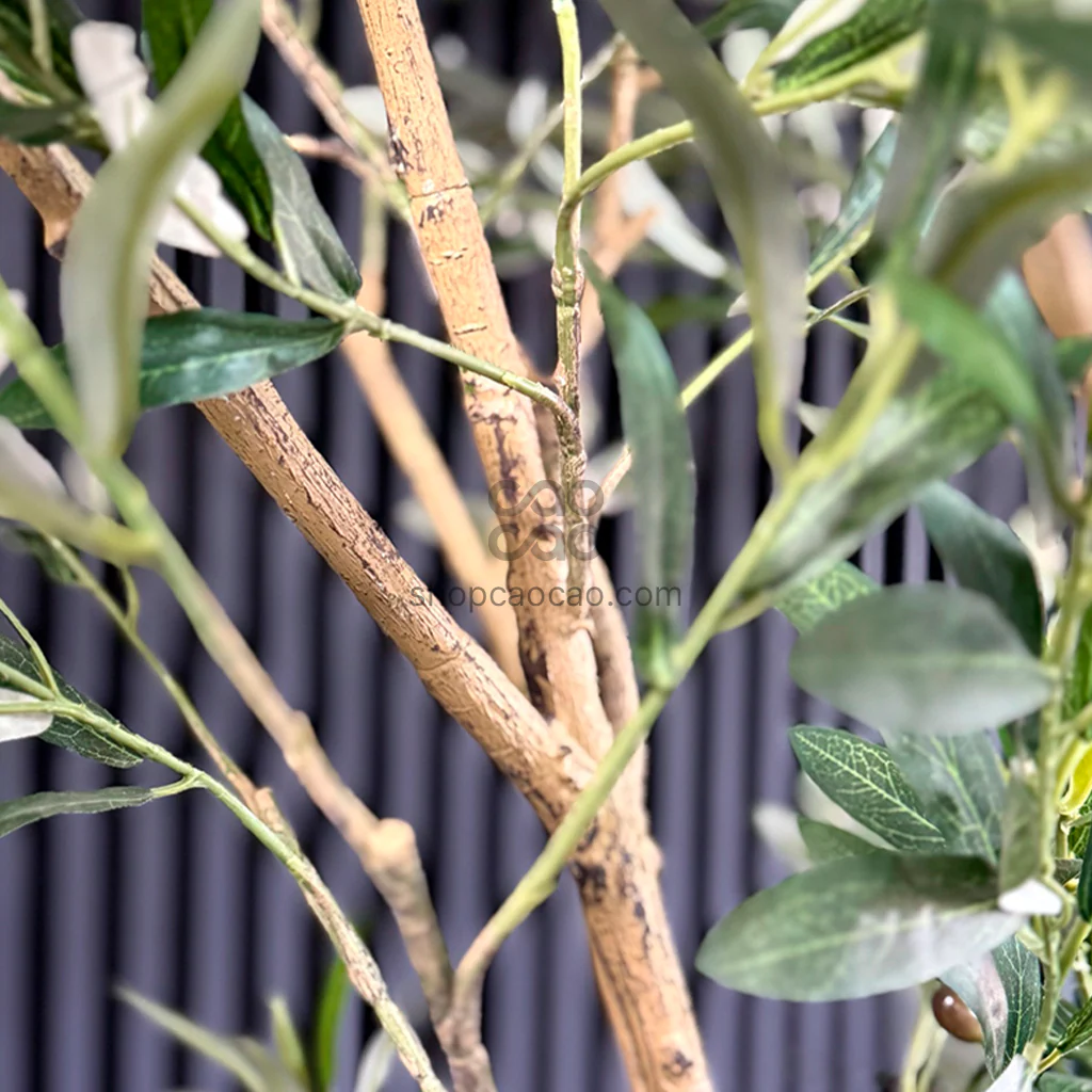 Imagen del producto 5