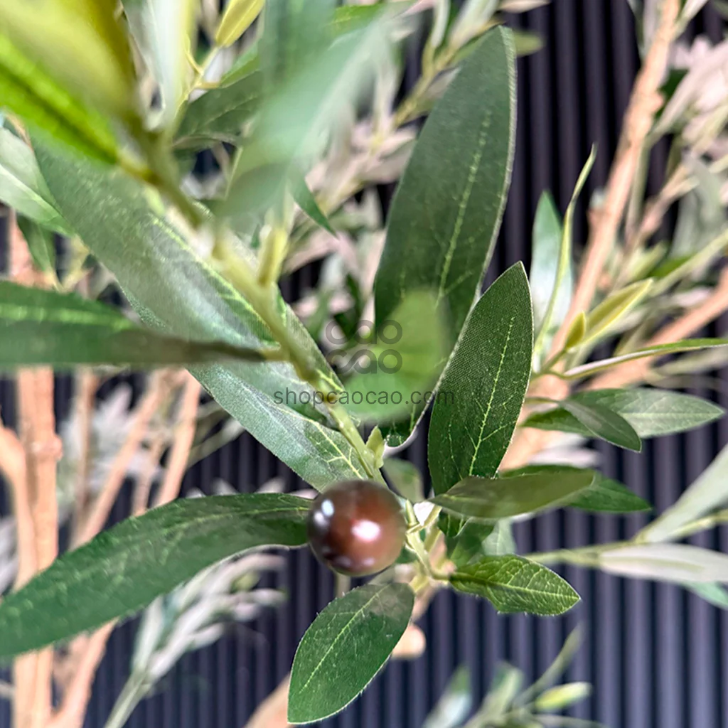 Imagen del producto 6