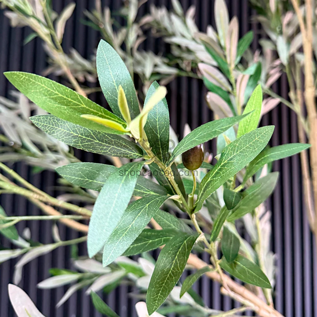 Imagen del producto 7