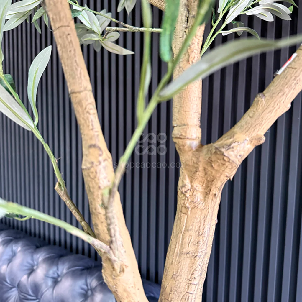 Imagen del producto 8